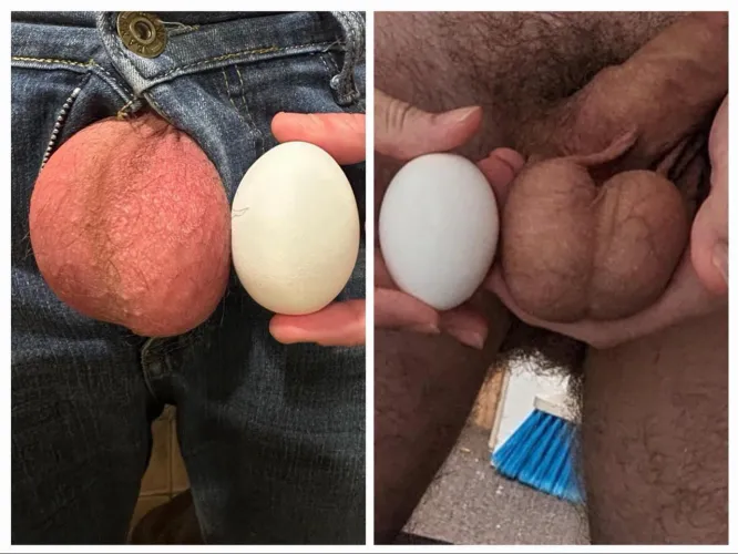 I u/burnoutgalaxy admit my CLEAR loss in ball size against u/InterviewFamiliar926. He’s on the left side, I’m on the right side. He used extra large eggs, I used standard large. The difference is obvious.