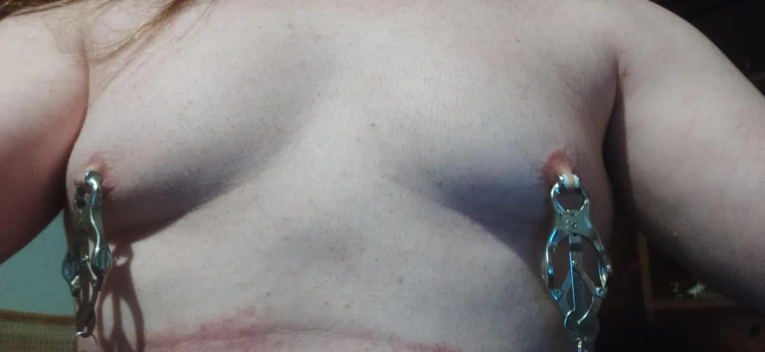 I wish I had proper tits to torment