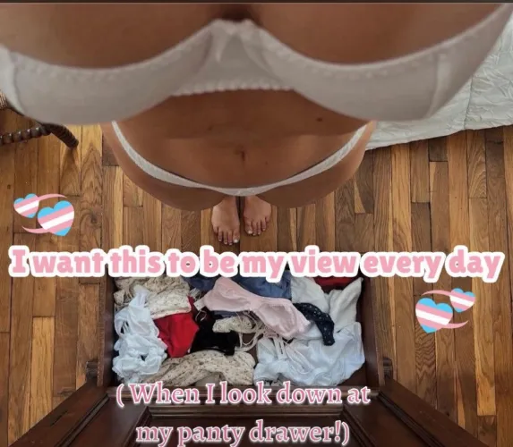 I would love to have beautiful breasts and a pretty bulge in my panties, would you