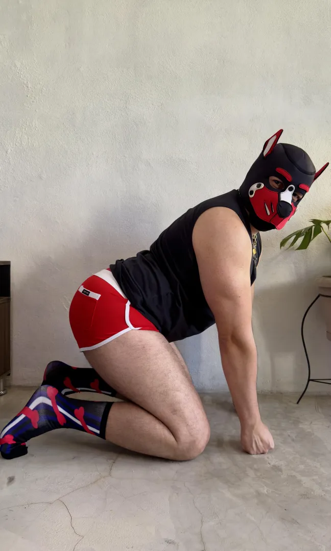 I’m a good boy  - Astro 