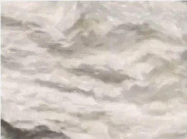 I'm going to have FUN this weekend!!