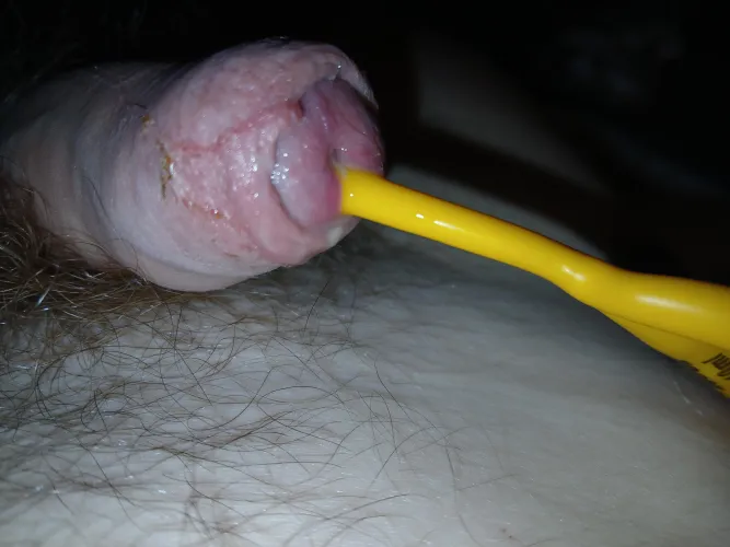 I'm stiff ant dripping