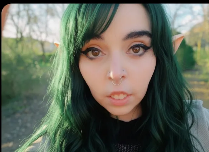 I'm your favorite elf