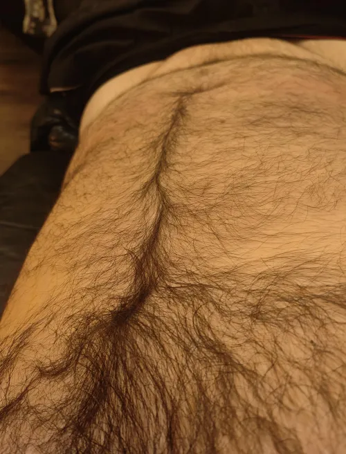 In from work. Stopped scrolling??