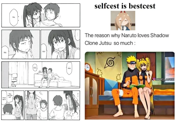 In the light novels Kyon (from Haruhi Suzumiya) eventually meets a female clone version of himself... ofcourse artists knew what needed to be done...