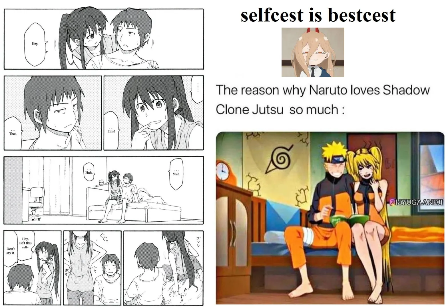 In the light novels Kyon (from Haruhi Suzumiya) eventually meets a female clone version of himself... ofcourse artists knew what needed to be done...