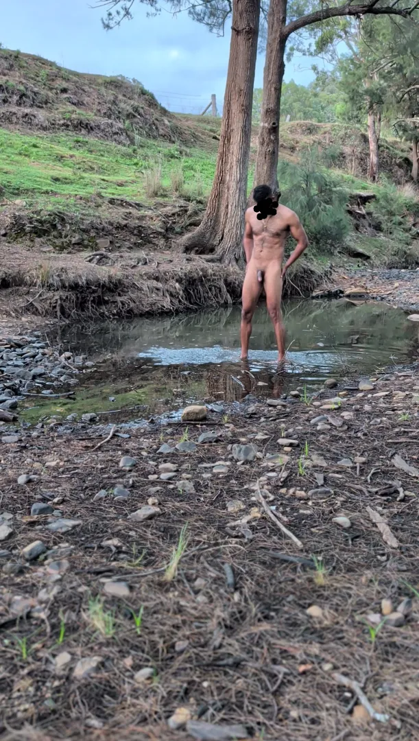 In the woods of Australia