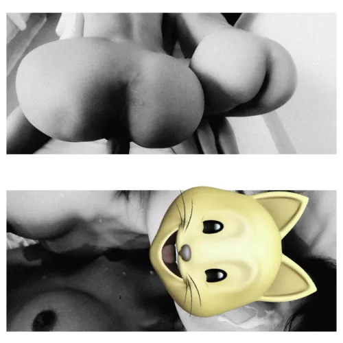 India vs USA, I chose both, they chose me. [c]