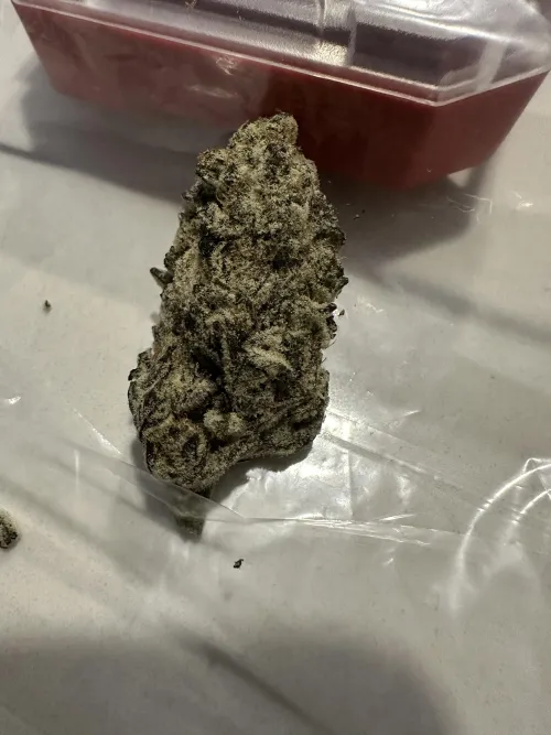 Indoor on a rainy day  n Dallas