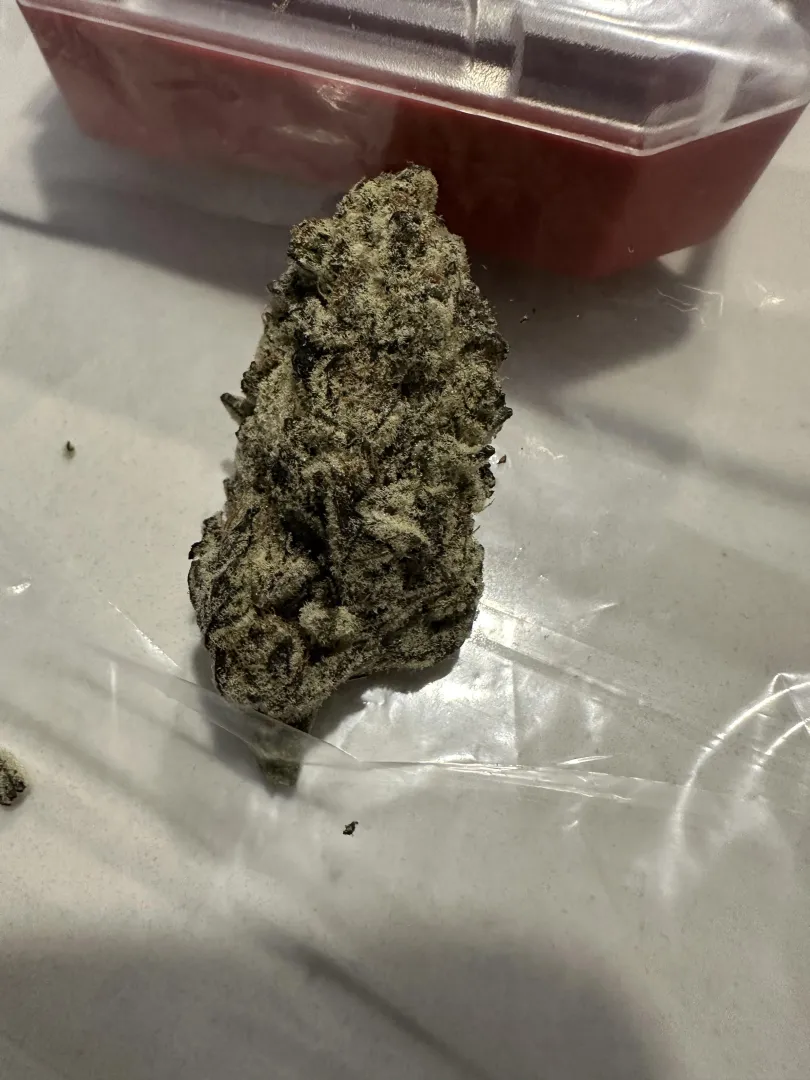 Indoor on a rainy day  n Dallas