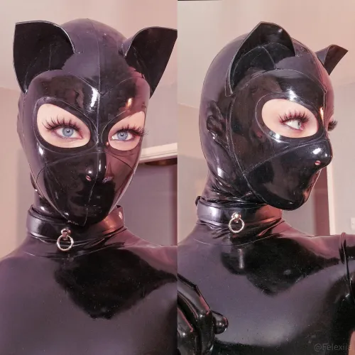 Instead of hairballs, I make rubber band balls [oc]