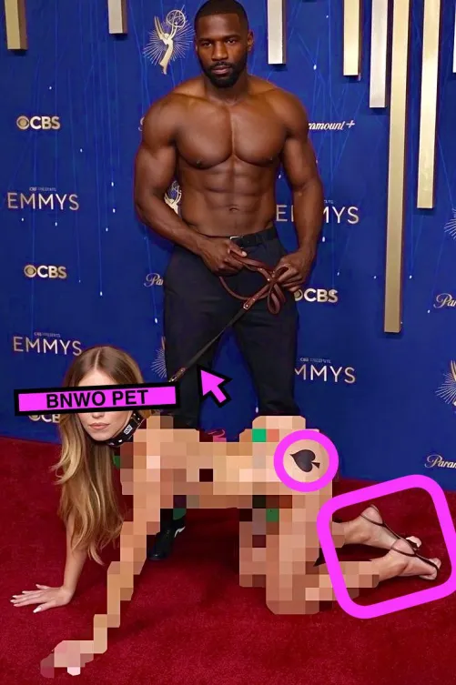 Is it AI art of your fantasy of Sydney Sweeney or is it a photo sent back in time from a few years from now when the BNWO runs the award shows?