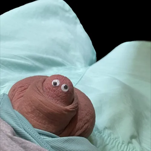 Is it safe to come out? 👀