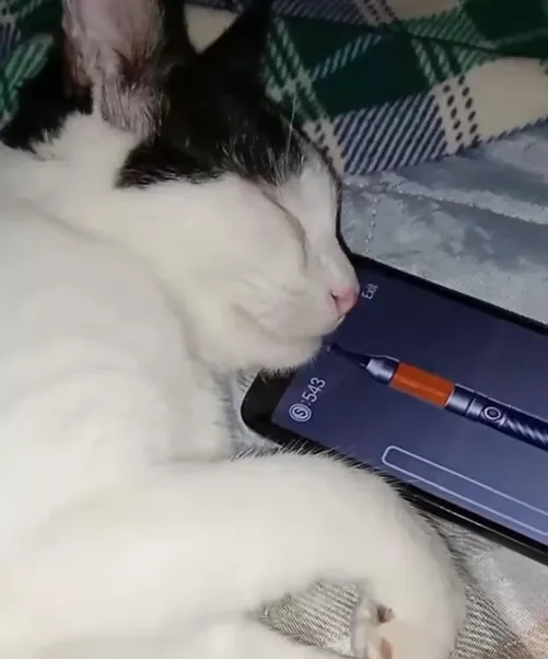 Is my homies oil good or is he cooked? Looks too orange