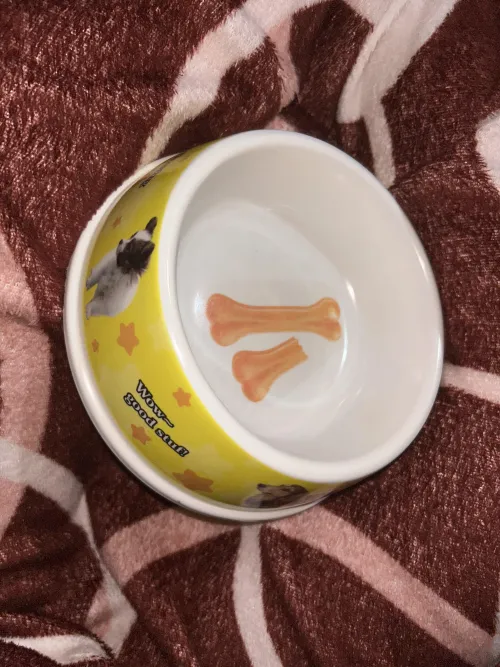 It had no pink in the doggy bowls but do u guys think it’s still cute?