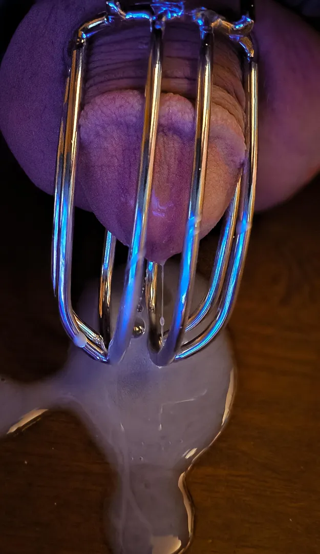 It never even tried to get hard before cumming.....1 yr. In a nub is my sentence.