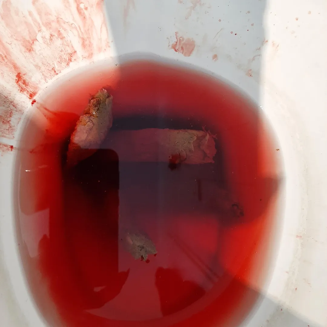 It turned out like this today! our weekend can be even better. Do you approve?