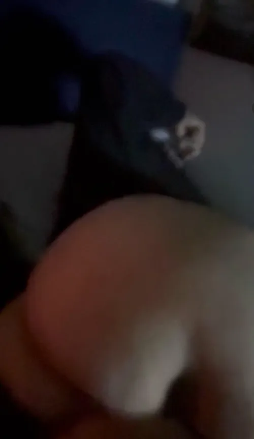 It was a vid that’s why it looks blurry 