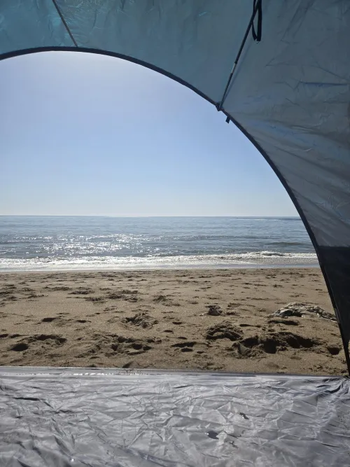 It's a beautiful day at the cove