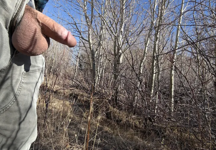 Its a good day for a Montana hike