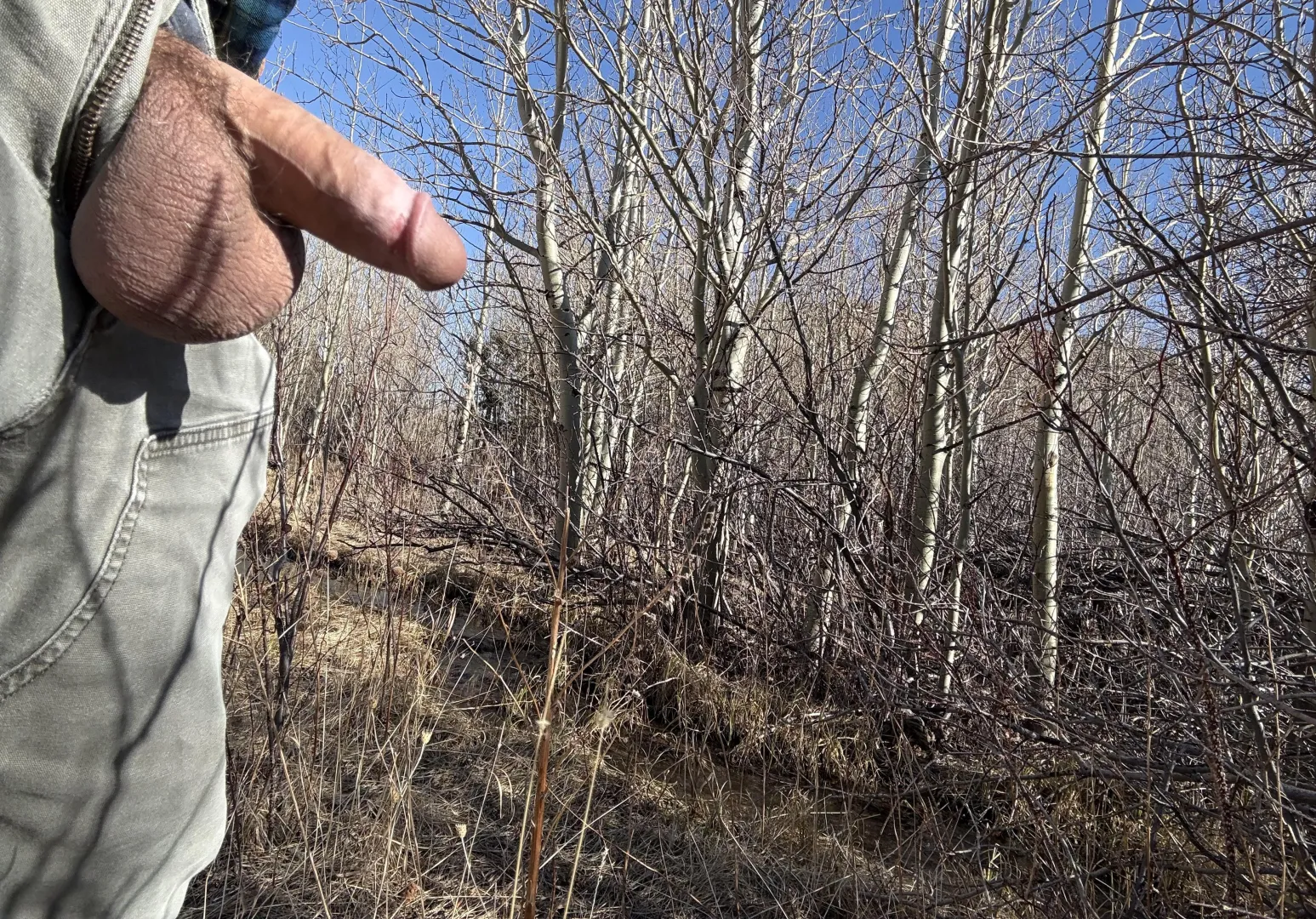 Its a good day for a Montana hike