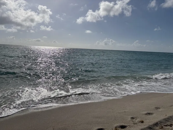 It’s a sunny day ☀️