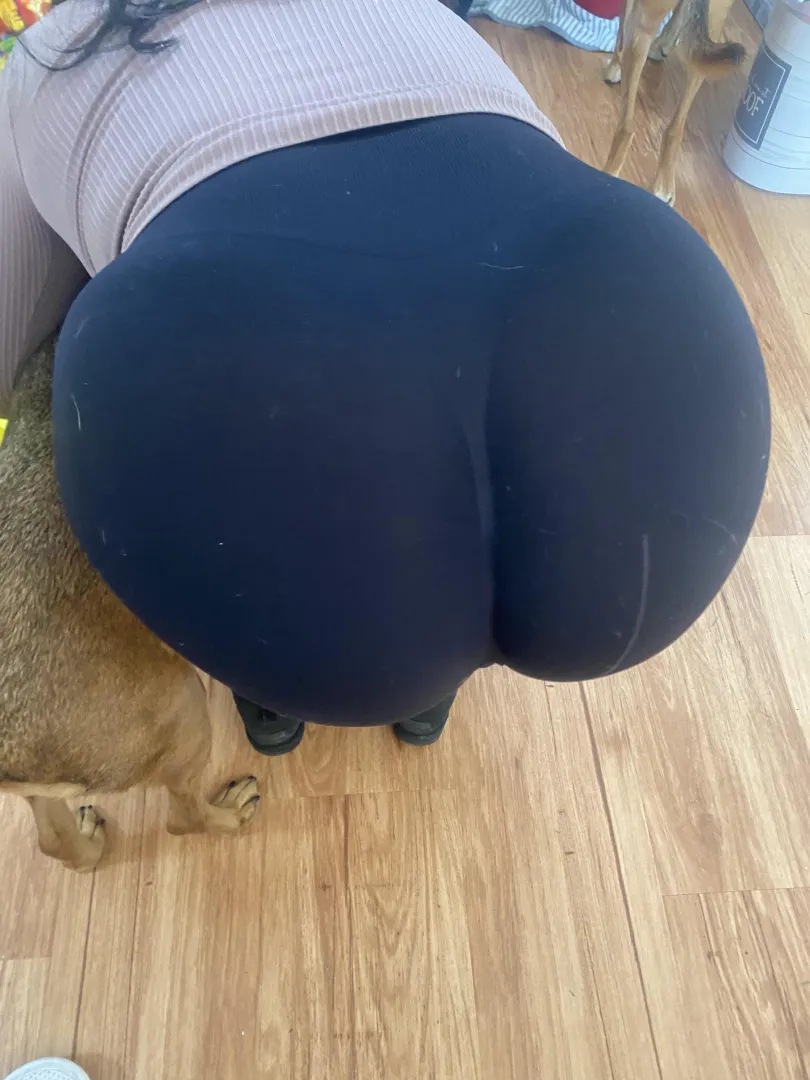 It’s so big and fat !