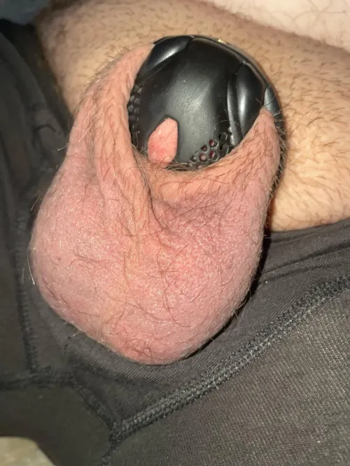 It’s so tight it’s trying to escape