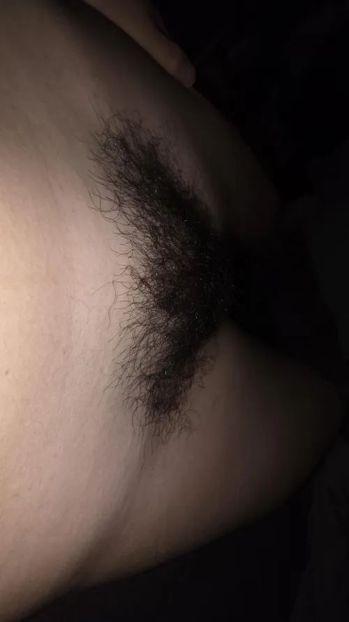 I’ve been growing my hairy pussy for some time now, what do you think