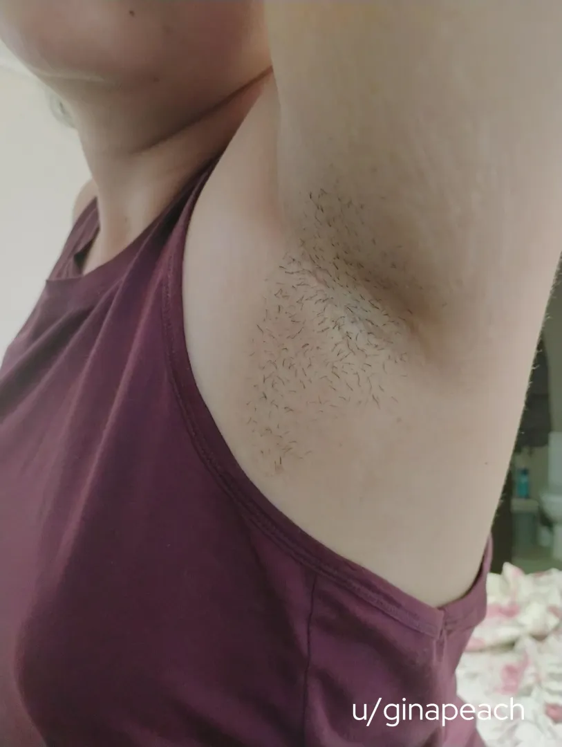 I've got your stubbly armpit paradise