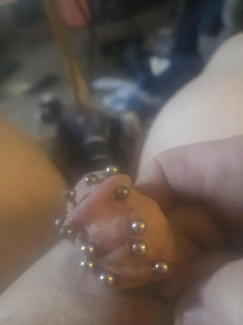 Jacob's ladder. Eight penis piercings so far