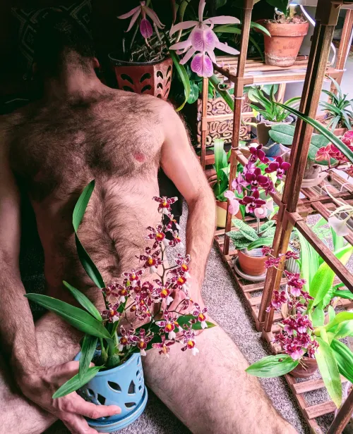 Just a guy and his plants...