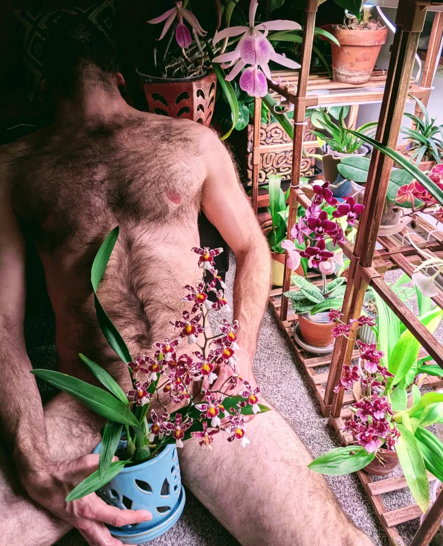 Just a guy and his plants...