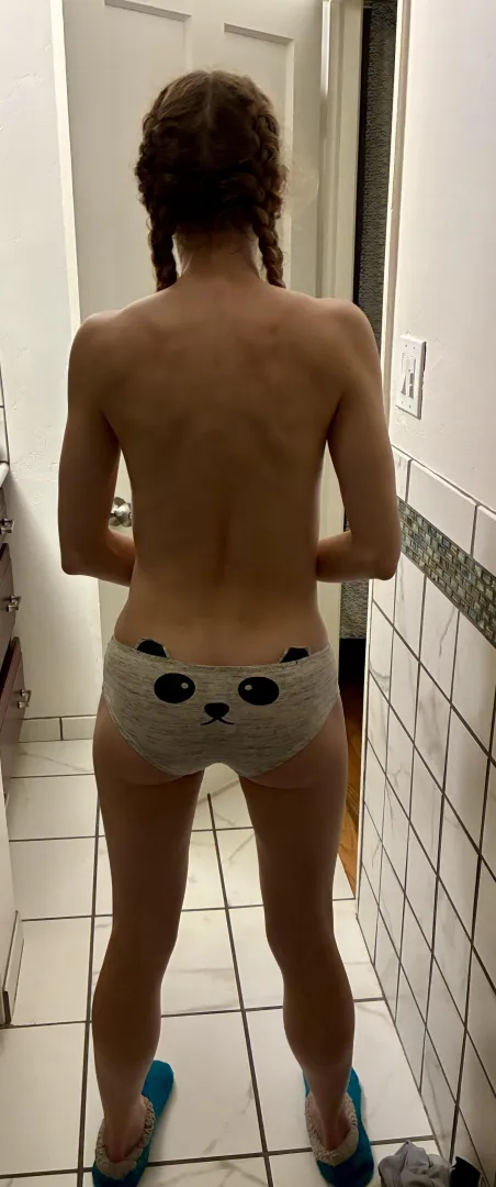 Just a pair of messy braids from the back