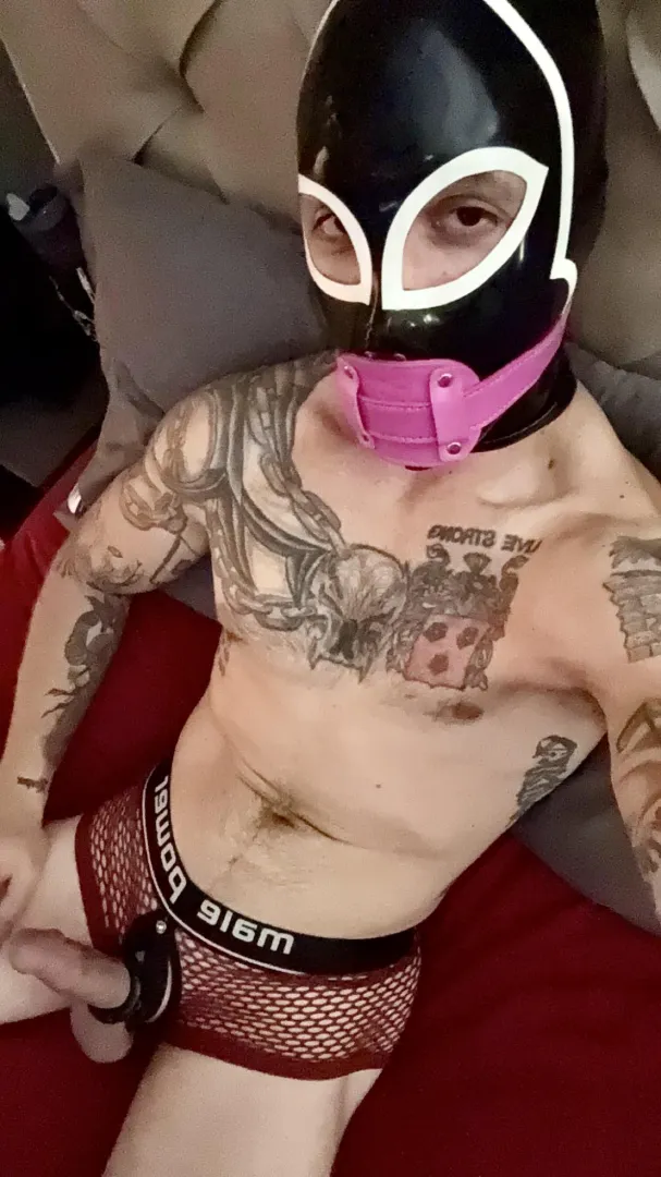 Just here to serve a purpose. That is whatever you desire.