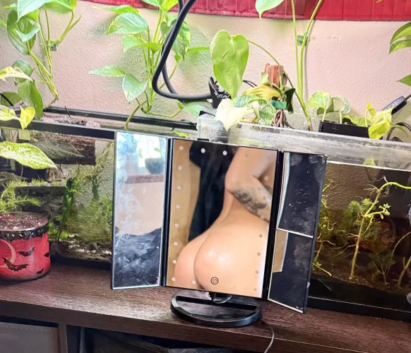 Just making sure you drank your tea today