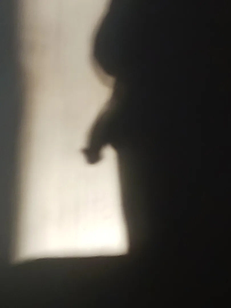 Just me and my shadow!![52]