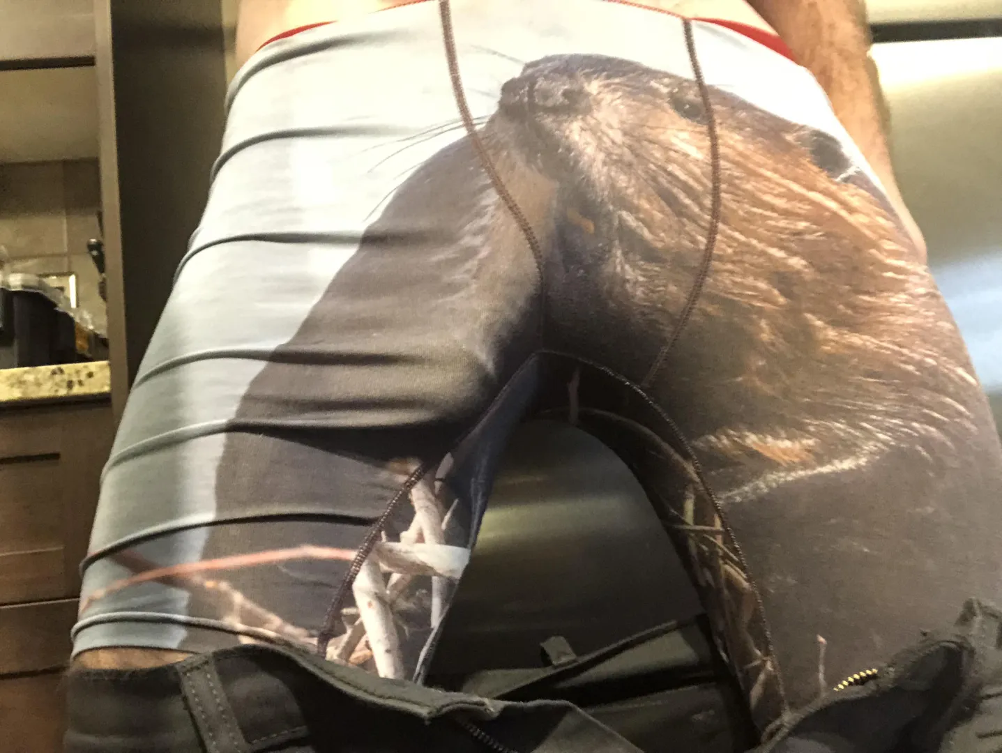 Just needs to find a beaver?