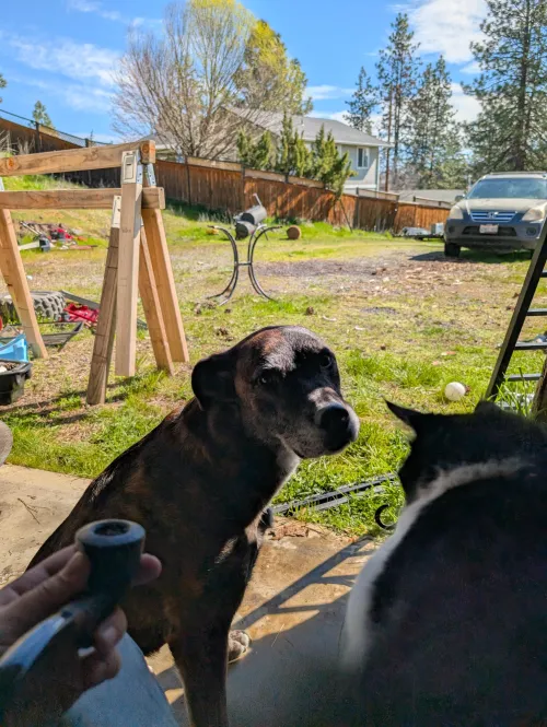 Just started smoking a pipe and writing a journal. Has been a world of good for me and my mental