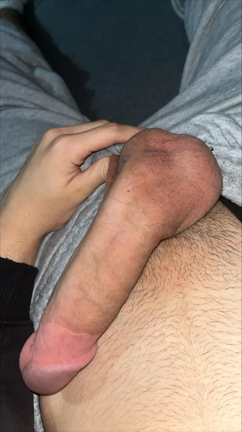 kalin seven bayanlara