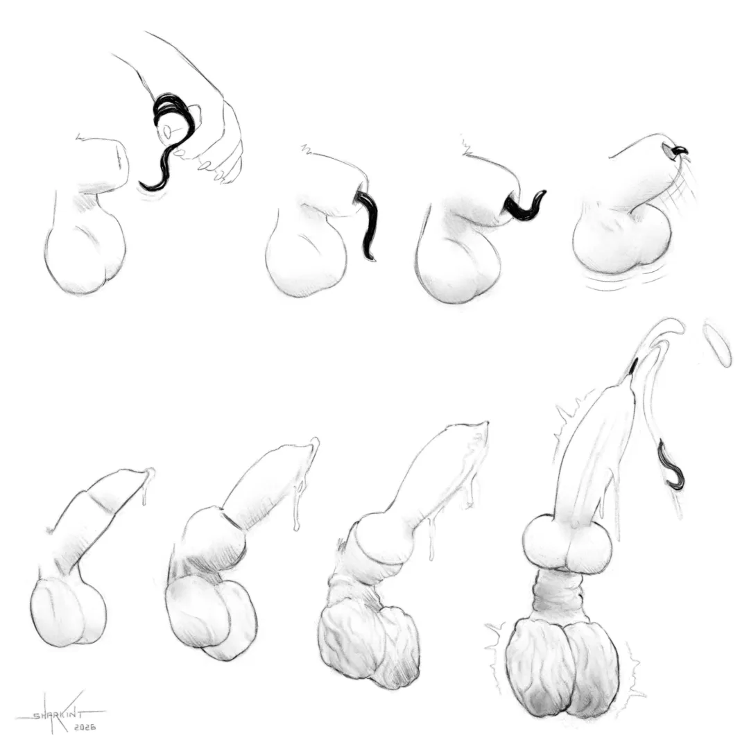 knot and worm (sharkinthepark)