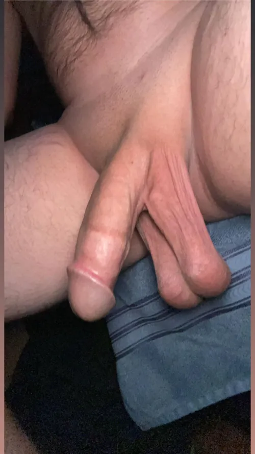 Late night low hangers [27]