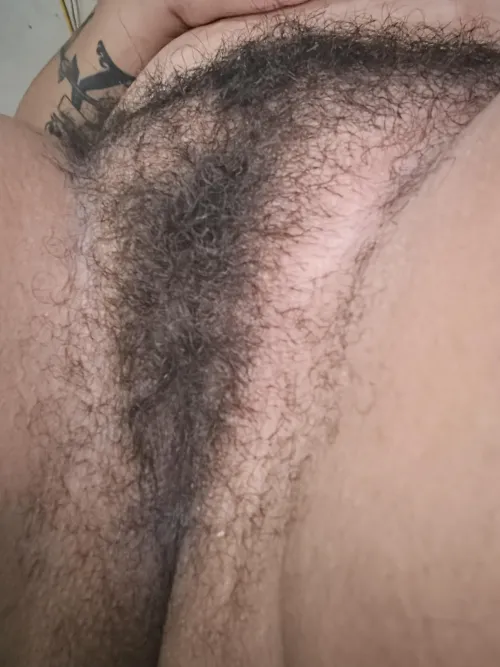 Latina bush