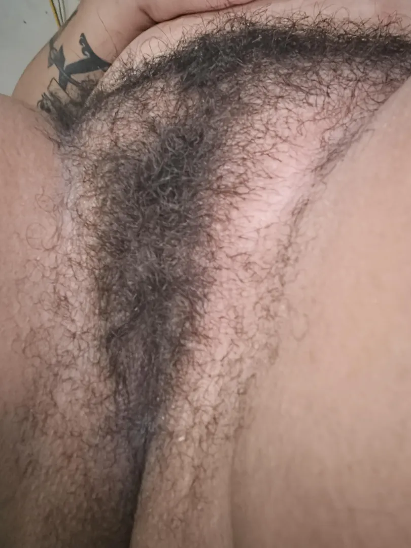 Latina bush