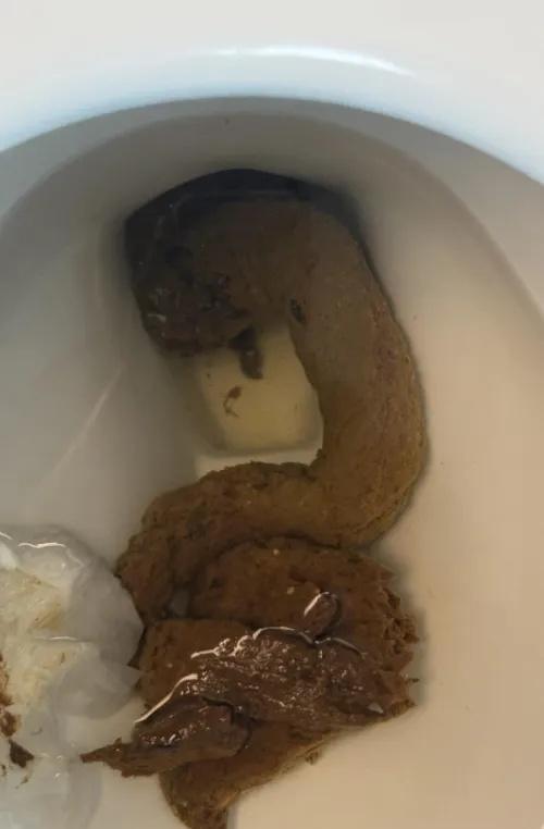 Left this one in the toilet for you to be surprised with ;)