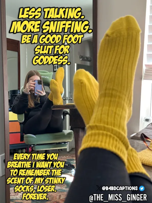 Less talking, More sniffing.