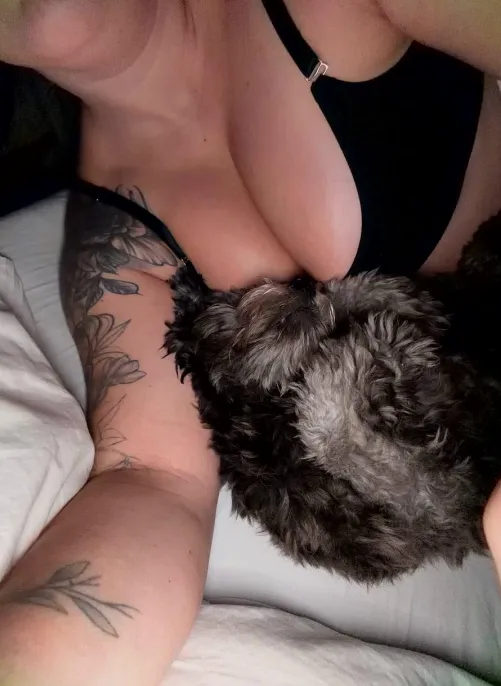 Let me bury your face between these ;) 37F