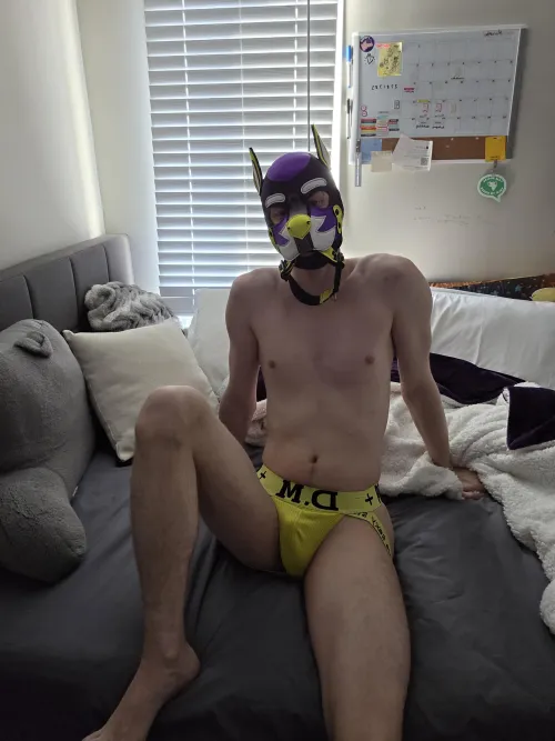 Let's go for a walk.