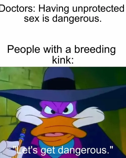 Let’s live dangerously 