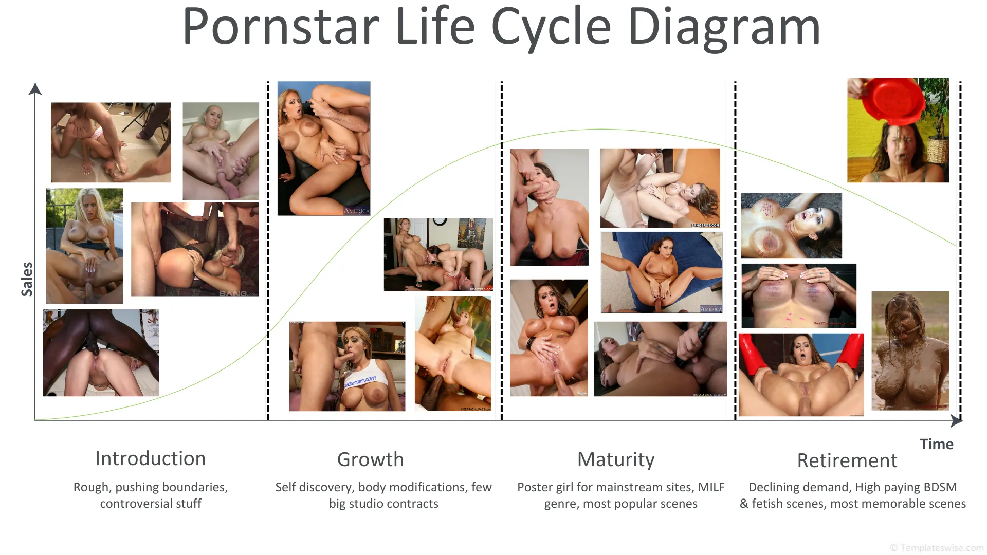 Life cycle of a mainstream pornstar